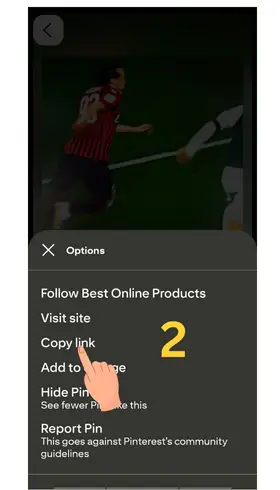 pinterest video indir